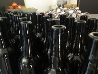 solvimus Bierbrauworkshop