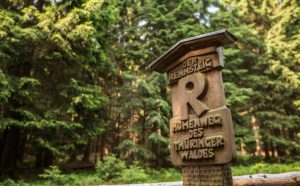 rennsteigschild-im-thueringer-wald