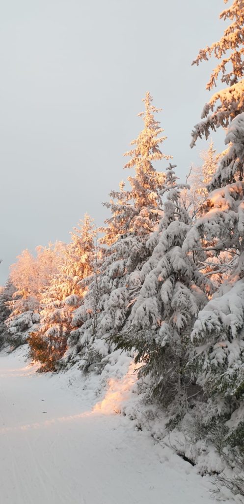 Winter landscape around Ilmenau