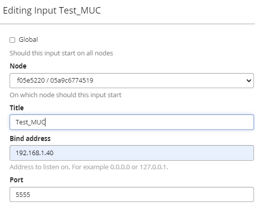 Konfiguration Input Graylog